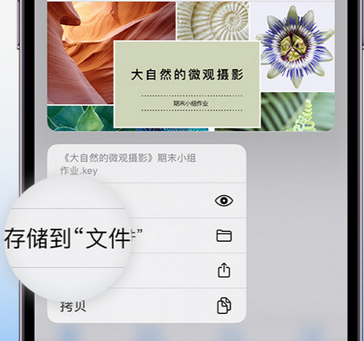 吴川apple维修中心分享iPhone文件应用中存储和找到下载文件