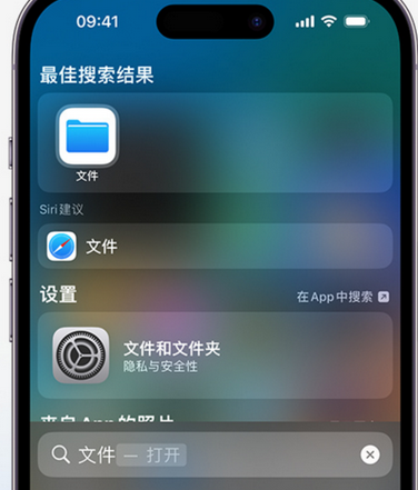 吴川apple维修中心分享iPhone文件应用中存储和找到下载文件