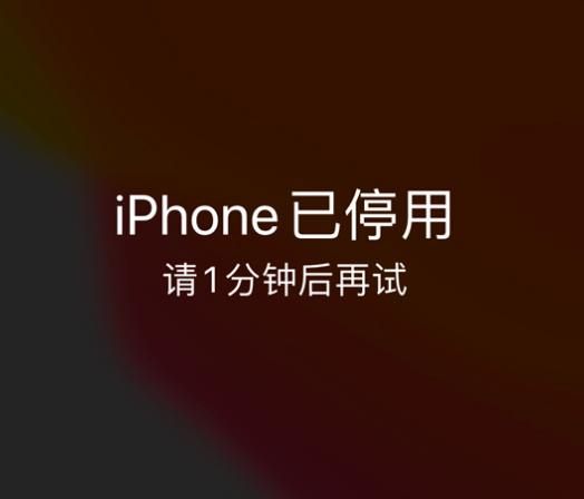 吴川苹果手机维修分享:iPhone 显示“不可用”或“已停用”怎么办？还能保留数据吗？ 