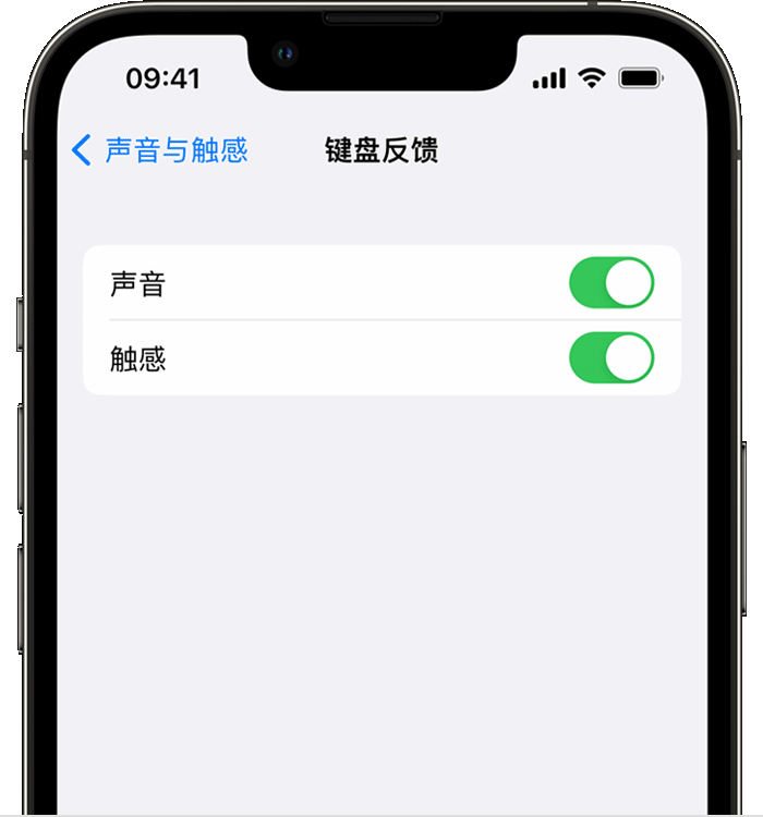 吴川苹果14维修店分享如何在 iPhone 14 机型中使用触感键盘 