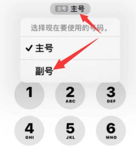 吴川苹果14维修店分享iPhone 14 Pro Max使用副卡打电话的方法 