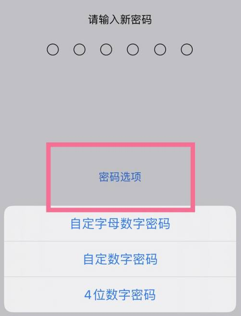 吴川苹果14维修分享iPhone 14plus设置密码的方法 