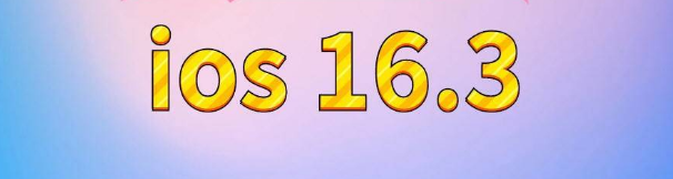 吴川苹果服务网点分享苹果iOS16.3升级反馈汇总 