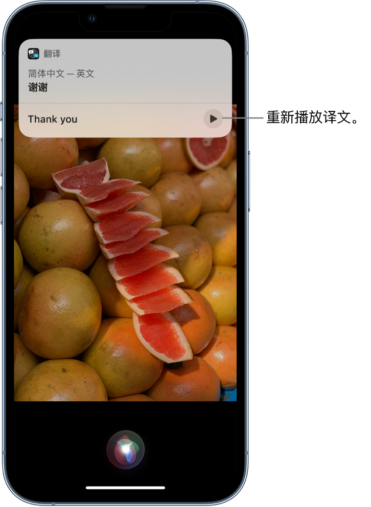 吴川苹果14维修分享 iPhone 14 机型中使用 Siri：了解 Siri 能帮你做什么 