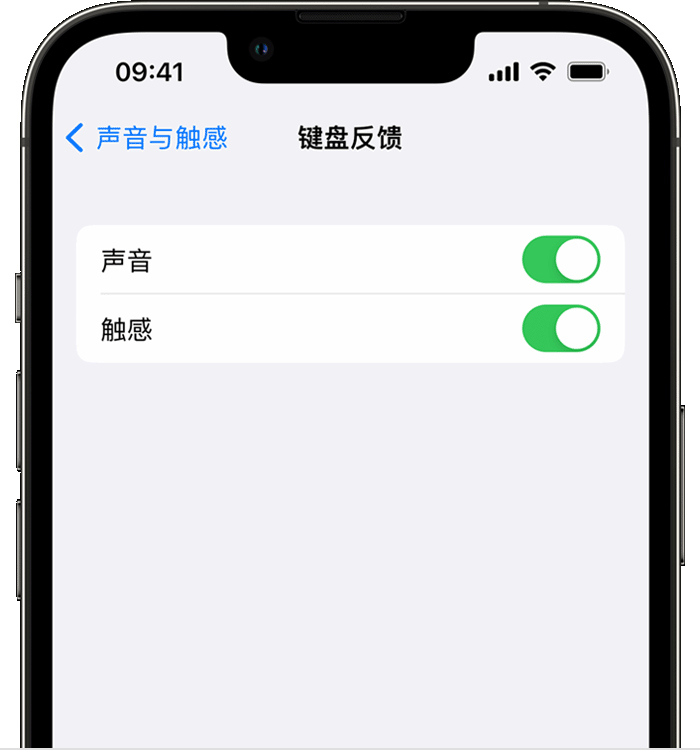 吴川苹果14维修分享iPhone 14 系列机型如何开启键盘声音或触感反馈 