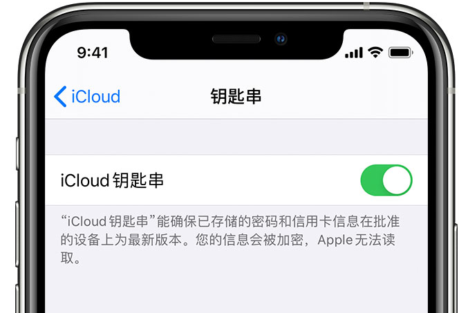 吴川苹果手机维修分享在 iPhone 上开启 iCloud 钥匙串之后会储存哪些信息 