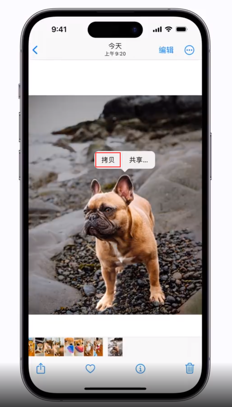 吴川苹果手机维修分享 iOS 16 自带一键抠图功能 