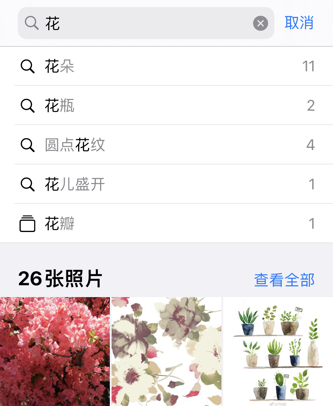 吴川苹果手机维修分享iPhone 小技巧 