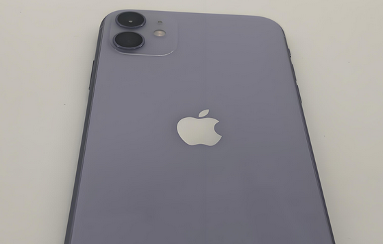 吴川苹果11系统维修分享iPhone11手机系统崩溃无法开机如何解决 